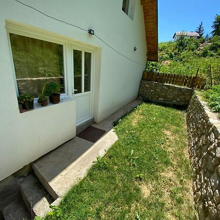 DEA's Apartman Mavrovo Kültér fotó